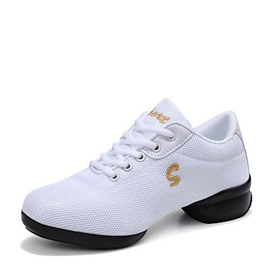 Women's Dance Sneakers Breathable Mesh Sneaker Low Heel Dance Shoes White / Black Women's Dance Sneakers Breathable Mesh Sneaker Low Heel Dance Shoes White / Black